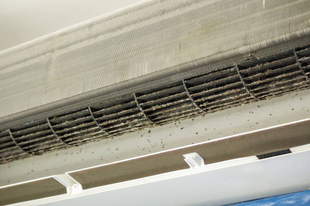 Best Air Duct Inspection  in Shell Valley, ND